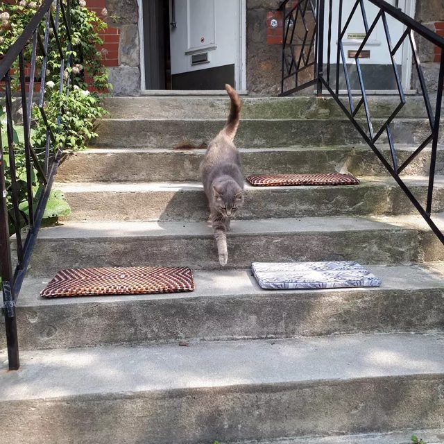 Coussins d'escalier, un incontournable montréalais pour jaser avec les voisins. / Stair cushions, a Montreal Must to cha