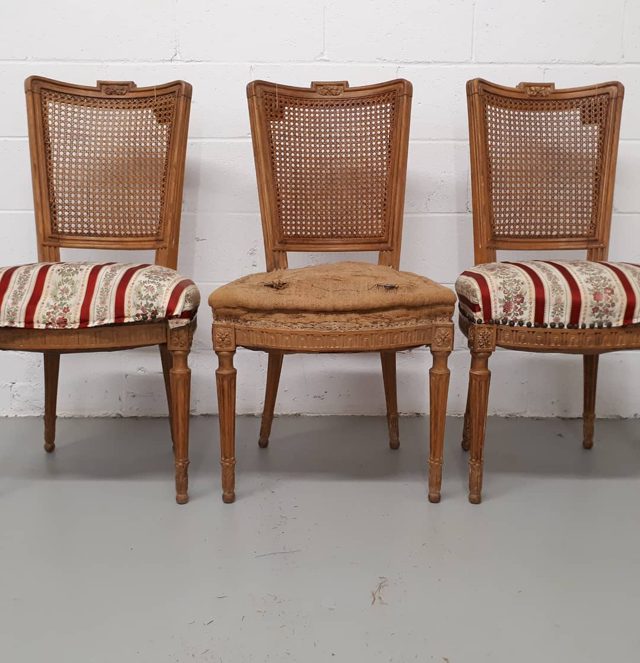 A set of eight lovely ladies. Check the variation in how the cane is attached... identical upholstery will not detract f